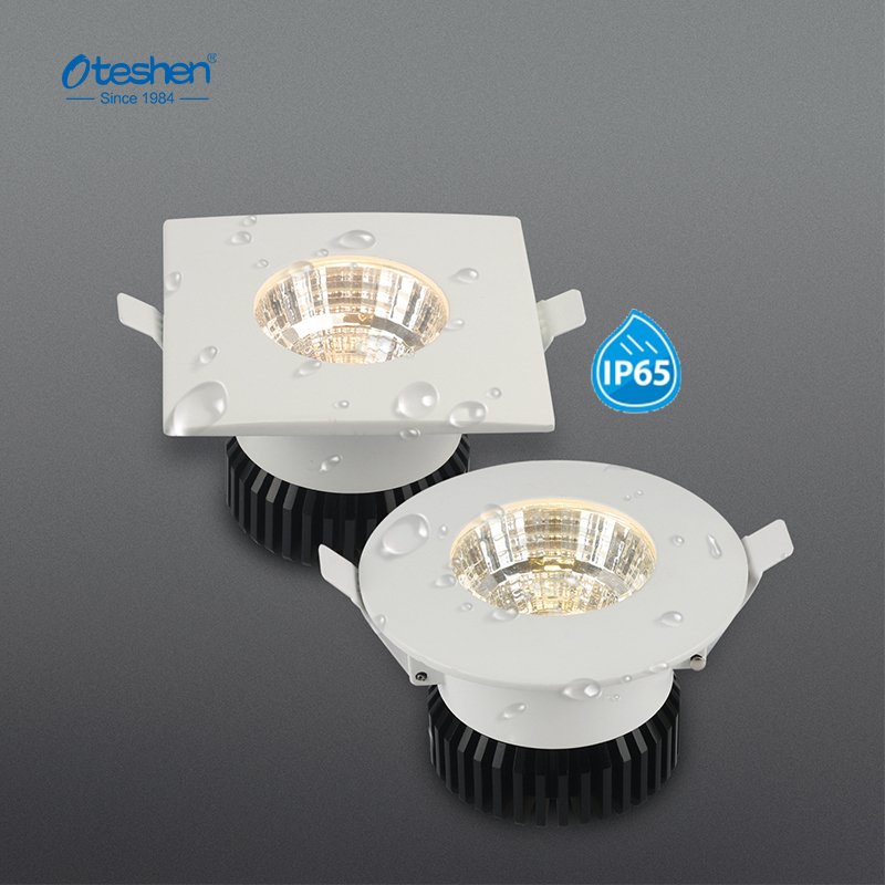 IP65 waterproof LED downlight application in bathroom shower room, wet area ceiling lighting Application de downlight LED étanche IP65 dans la salle de bain, salle de douche, éclairage de plafond pour zone humide