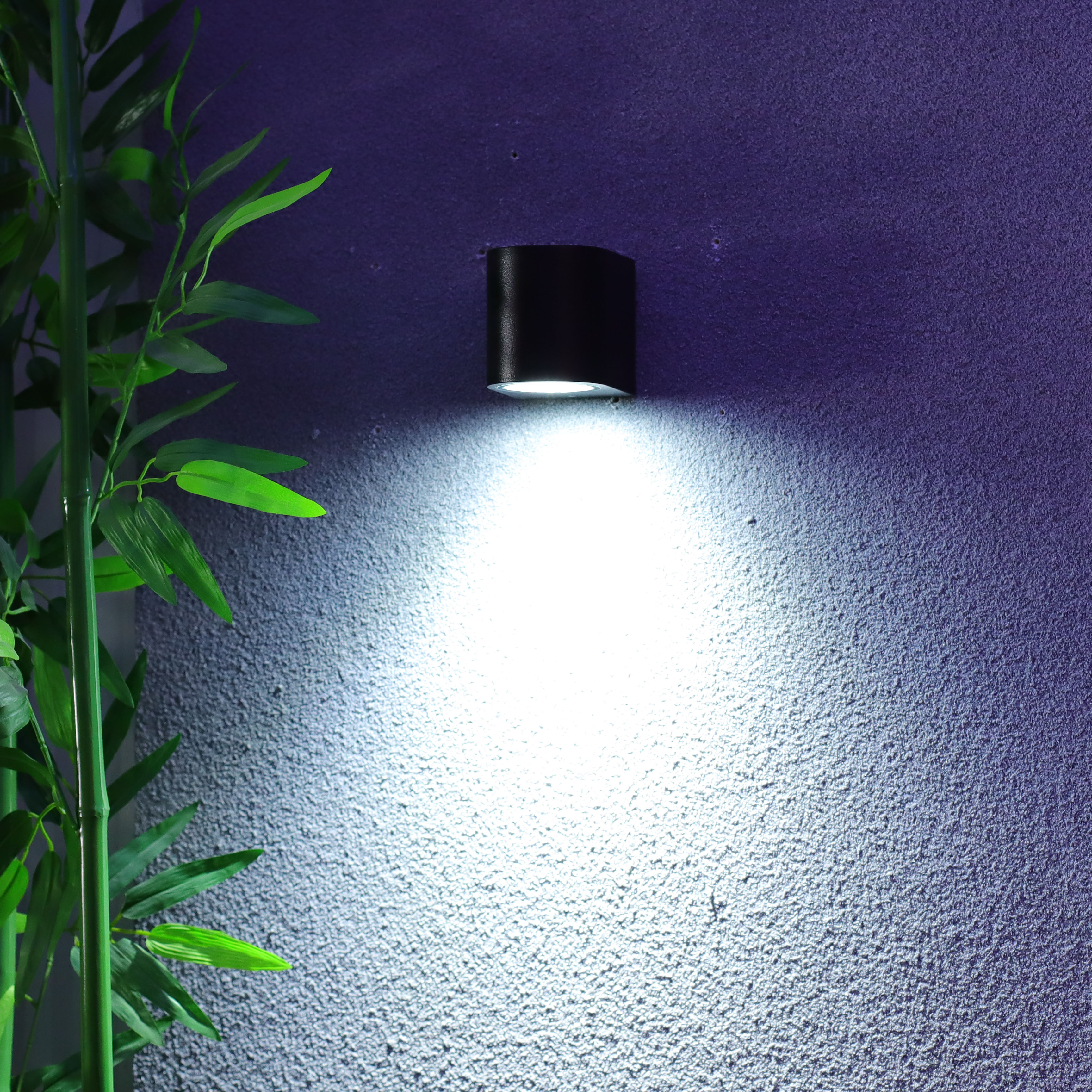 TS127系列原图 (80)