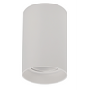 Exterior Downlight Fixtures