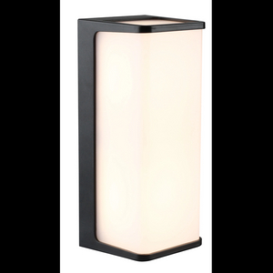 Outdoor LED Wall Light LBD0643-10