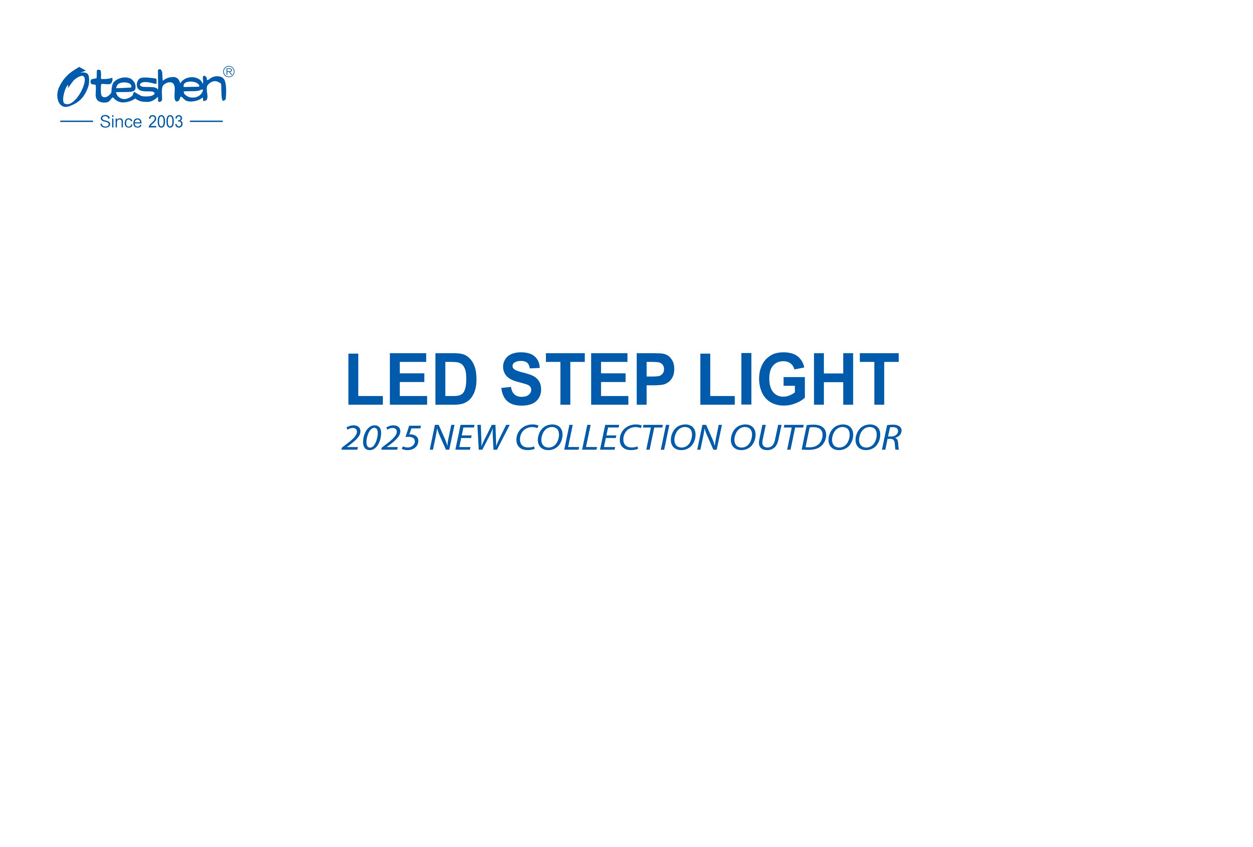 Led step light
