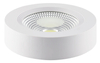 White 12W 22W 32W COB LED Downlight