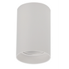 Exterior Downlight Fixtures