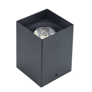 Surface Mounted Downlight Fixture