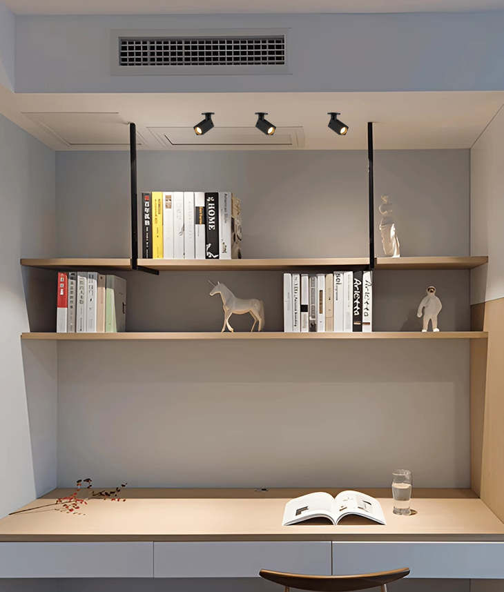 LCG2010A-1-场景图