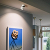 Surface Mount Rotatable LED Ceiling Light - Oteshen LTD1320-7 LTD1340-12 LTD1360-18