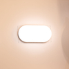 8W & 15W Frameless Oval PC LED BULKHEAD LIGHT, IP65 Indoor & Outdoor Wall & Ceiling Lamp Oteshen LXD0130S-8 / LXD0140S-15